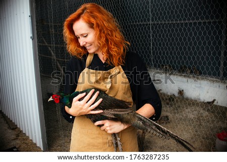 A smiling young woman a farmer in an apron holds in his hands a male Romanian pheasant. Agriculture, domestic poultry, pheasant farm