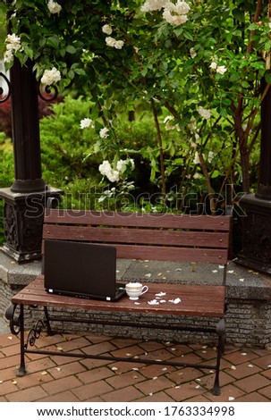 
laptop and cup of tea on a bench in a city park.
