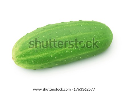 Fresh whole green cucumber isolated on a white background. Clip art image for package design.