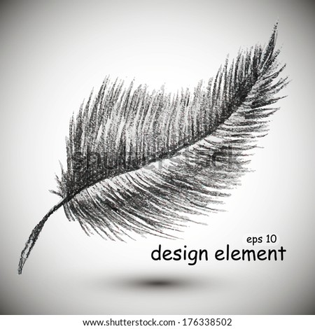feather, drawn in black chalk, design element