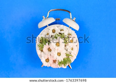 Summertime concept with alarm clock and  chamomile flowers on bright blue background. 