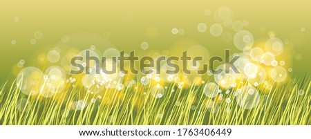Beautiful green grass with bokeh blurred lights of dew on it vector illustration, morning sunlight, nature field and meadow background, ecology, grassland.