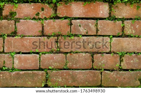  Red brick wall Texture background.Bricks pattern,old bricks wall.                              Royalty-Free Stock Photo #1763498930
