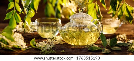 Elderflower tea infusion of elder white flowers in a glass teapot on a wooden table. Healthy and delicious herbal drink  Royalty-Free Stock Photo #1763515190