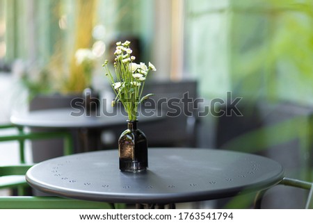 Interior of a summer playground without people with fresh flowers in pots. A cozy cafe