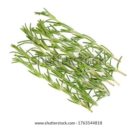 Rosemary isolated on white background. Top view