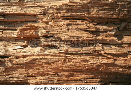 The texture of rotten wood