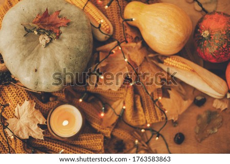 Autumn flat lay. Cozy moody image . Pumpkin, autumn leaves, candle, warm lights and nuts on yellow knitted sweater on rustic background.  Happy Thanksgiving