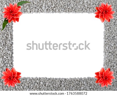 Summer or autumn frame of grey stones,piles of pebbles with 4 flowers of Royal Dahlia and one with green leaves in corners,around rectangular copy space.Natural texture isolated on white background