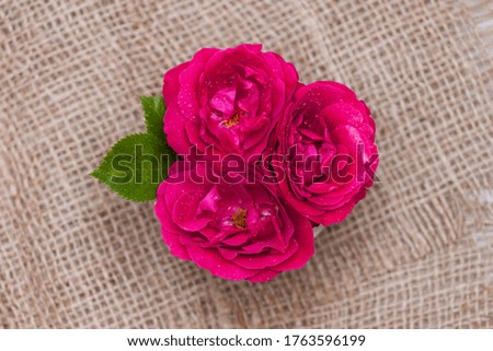 Flowers red roses in a cup on textile background. Flat lay, top view, floral background.