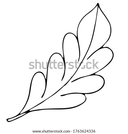 autumn leaf, freehand drawing, vector element in doodle style, coloring book, black outline