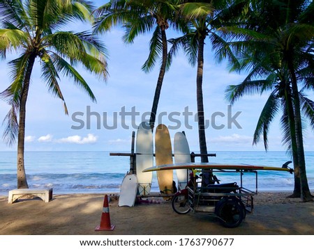Surfboard for rental on sand beach and coconut tree with horizon blue sky and blue sea background. Phuket island, Thailand.