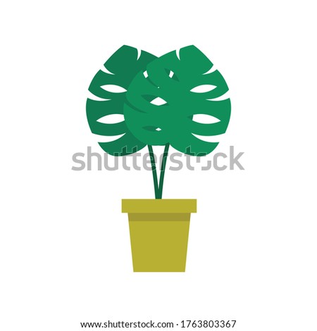 monstera plant flat icon, vector illustration
