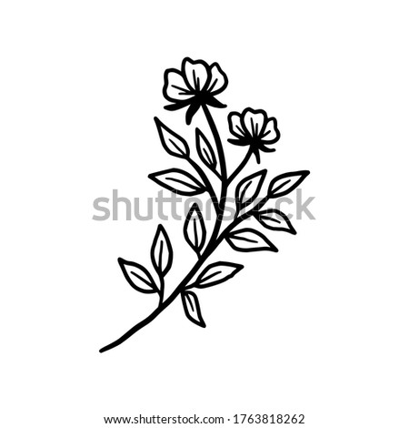 Hand drawn monochrome flower bud, plant, leaf, and foliage element for wedding invitation, logo, symbol, greeting cards, botanical icon, or banner. Summer, spring, and autumn botany element