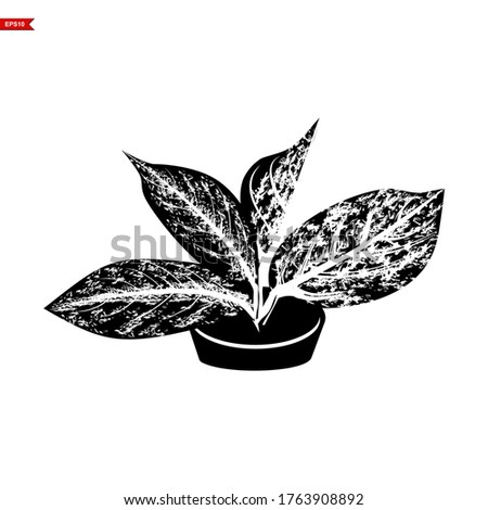Abstract plant silhouette on a white background. Illustration vector