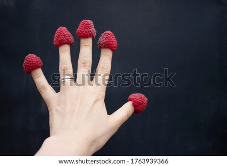 Ripe large raspberries are dressed on the fingers of the hands. Like funny hats. Hand with berries on a black background.