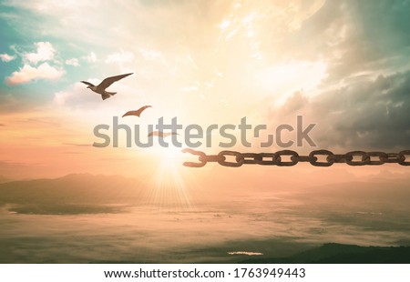 Freedom concept: Silhouette of bird flying and broken chains at autumn mountain sunset background Royalty-Free Stock Photo #1763949443