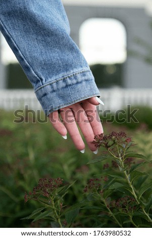 girl's hand touches flowers in the park