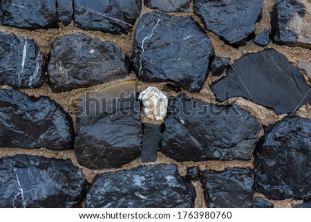 black untreated rocky stones of natural origin, a wall of stones in concrete, a background for a wall and wallpapers, a white stone in the center