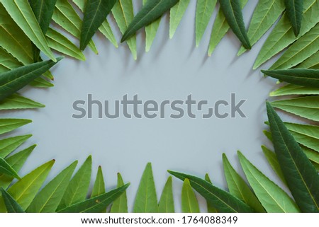Forest treeline made of green leaves for background. Minimal nature concept flat lay.