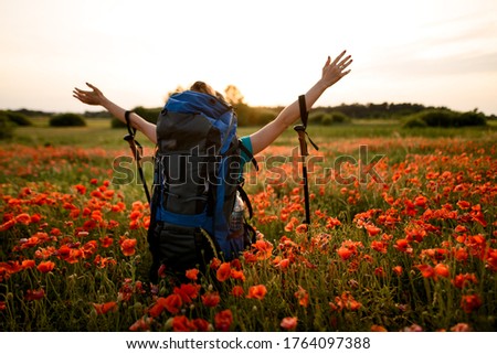 Rear view of female tourist with sports backpack and sticks for walking who stands on poppy field with hands up