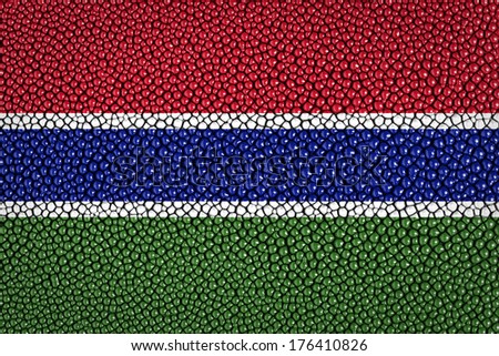 Gambia Flag painted on leather texture 