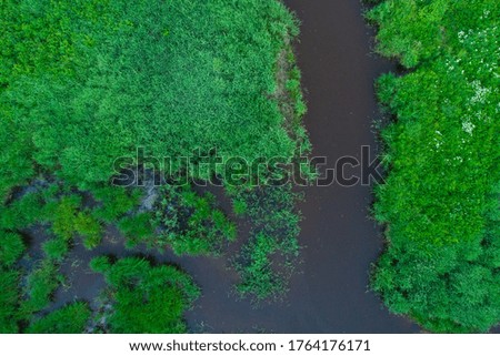 aerial view wild river in the forest