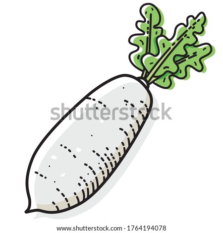 Daikon radish isolated on white background. Vector illustration of vegetable. Royalty-Free Stock Photo #1764194078