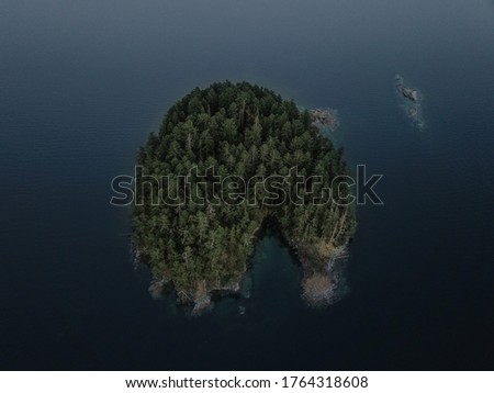 Little island covered with pine trees.