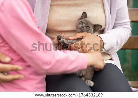 Woman with little girl play with a kitten