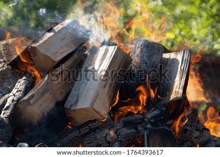 Bonfire with flames in the forest on the lake in summer