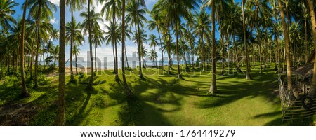 Panoramic picture of a green coconut forest  in siargao, philippines, with a house located on the right side, a beach some boats and the sea in the background 