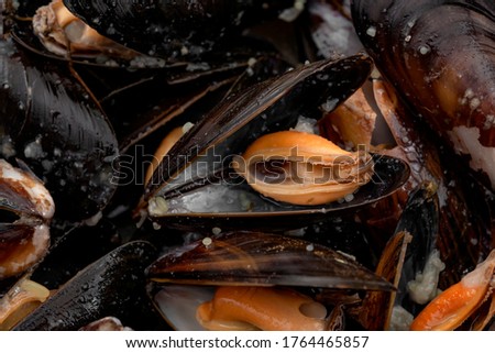 Marine delicacy, fancy restaurant and expensive sea food concept with full frame photograph of raw mussels