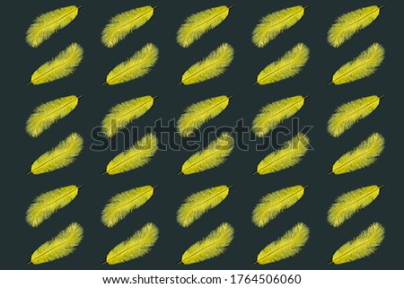 Yellow feathers isolated on black background.  Pattern