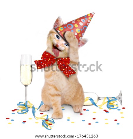Hangover, cat after Party on white background Royalty-Free Stock Photo #176451263