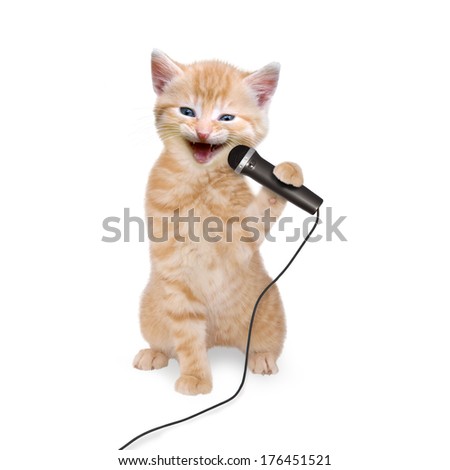 Cat kitten singing into microphone on white background Royalty-Free Stock Photo #176451521