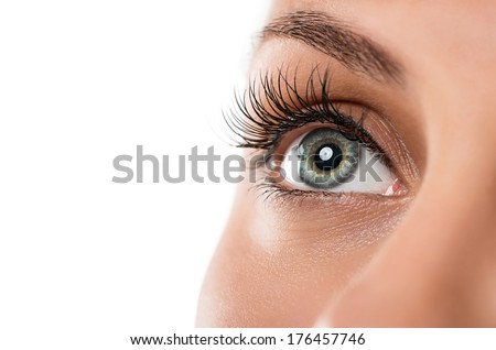Close up of natural female eye isolated on white background Royalty-Free Stock Photo #176457746