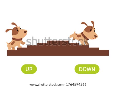 Opposites concept, UP and DOWN. Word card for language learning. Cute puppy rises up the stairs, runs down.  Flashcard with antonyms for children vector template. Flat illustration with typography.