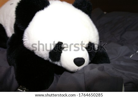 Cute and adorable panda doll