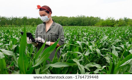 Caucasian woman farmer with digital tablet in corn field with mask and gloves at the time of the coronavirus pandemic. Royalty-Free Stock Photo #1764739448