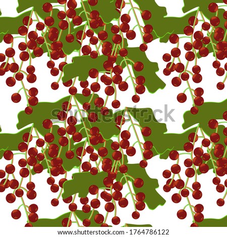 red currant.red currant bushes on a white background.seamless pattern.vector.