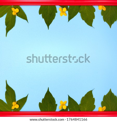Red wooden picture frame decorated with small yellow flowers and green leaves on blue copy space background.