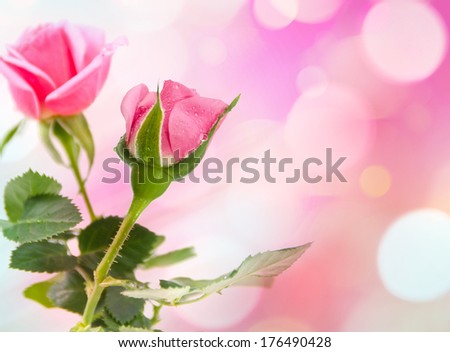 Beautiful  abstract flowers background with copy space