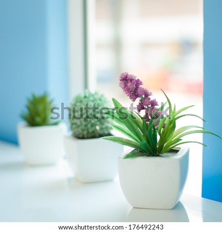 Flowers near a window in bright day Royalty-Free Stock Photo #176492243