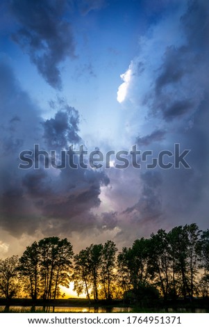 Overcast sky. Thunderclouds.Silhouette of tall trees.Green steppe.Vertical photo