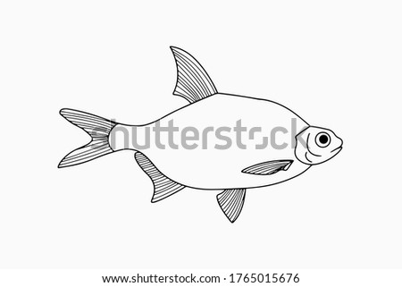 Outline underwater animal isolated on white. Sketch hand drawing art line. Coloring page book. Outline sea life. Vector stock illustration. EPS 10