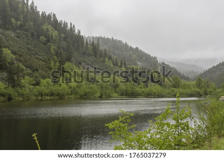 View of a mountain lake in foggy weather. On the opposite bank is a mountain with coniferous forest.