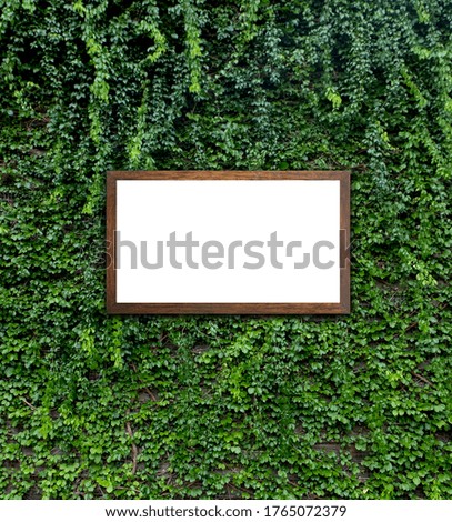 Creative leaflets with Frame, free copy space. Nature spring concept lying flat for background
