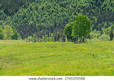 Green sky, Apuseni Nature Park Romania, Carpathian Mountains, pasture