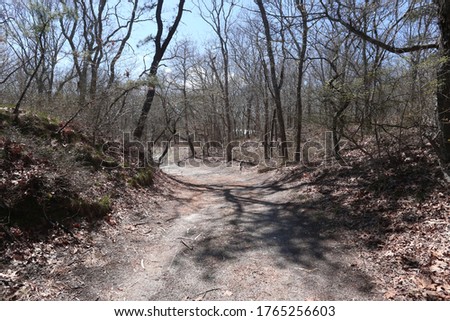 These are photos of a trail in the woods.